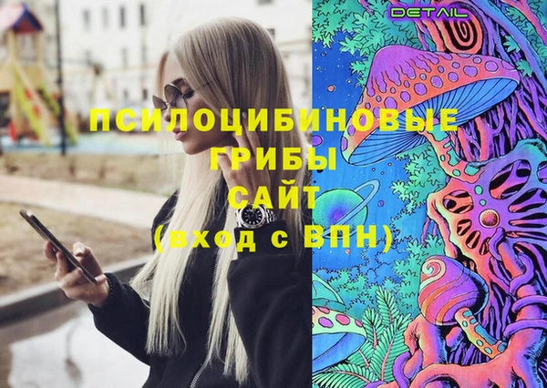 дурь Бронницы